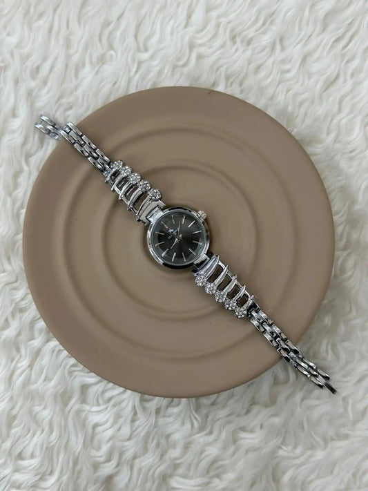 Bayan Çelik Silver Saat